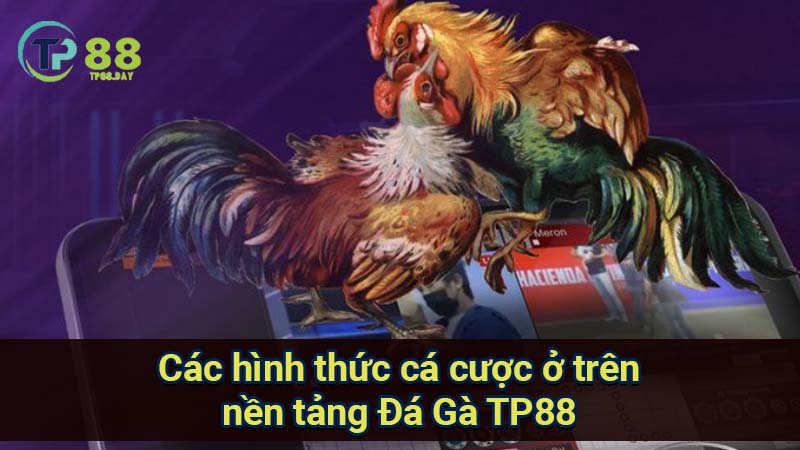 cac-hinh-thuc-ca-cuoc-o-tren-nen-tang-da-ga-tp88