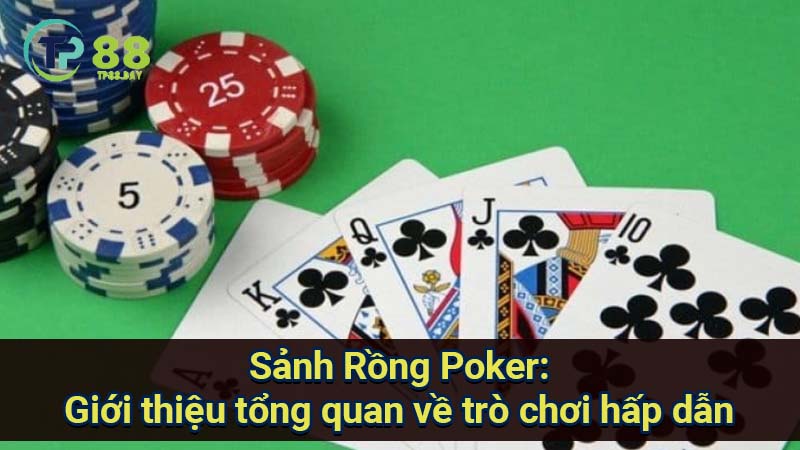 sanh-rong-poker:-gioi-thieu-tong-quan-ve-tro-choi-hap-dan